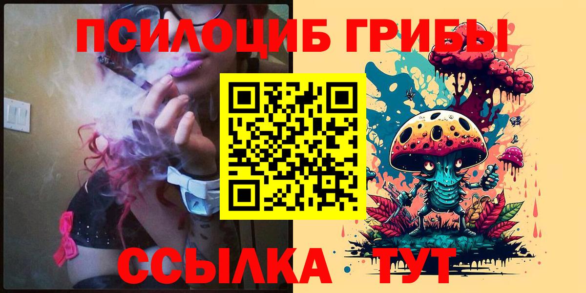 Псилоцибиновые грибы прущие грибы Новороссийск