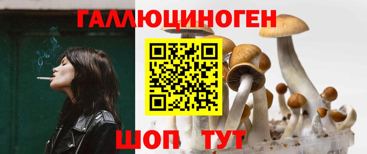 Галлюциногенные грибы ЛСД  Псилоцибиновые грибы ЛСД  Вход с VPN  Новороссийск 